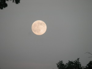 Moonlight sonata, zejména 3. věta je má oblíbená